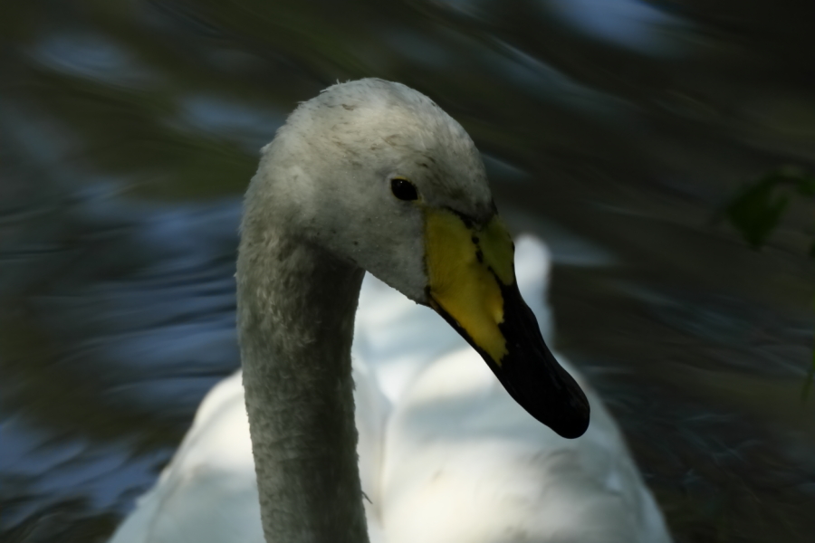 2013 09 20 HTP 09275